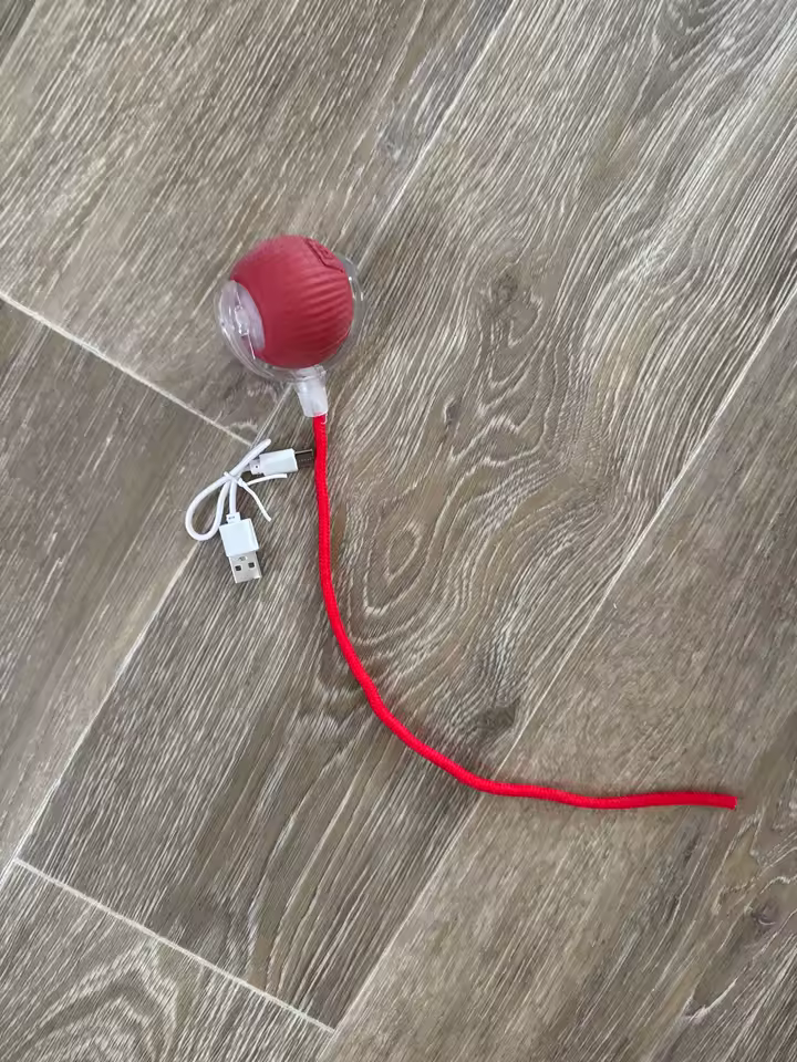 Zdjęcie klienta Woofy