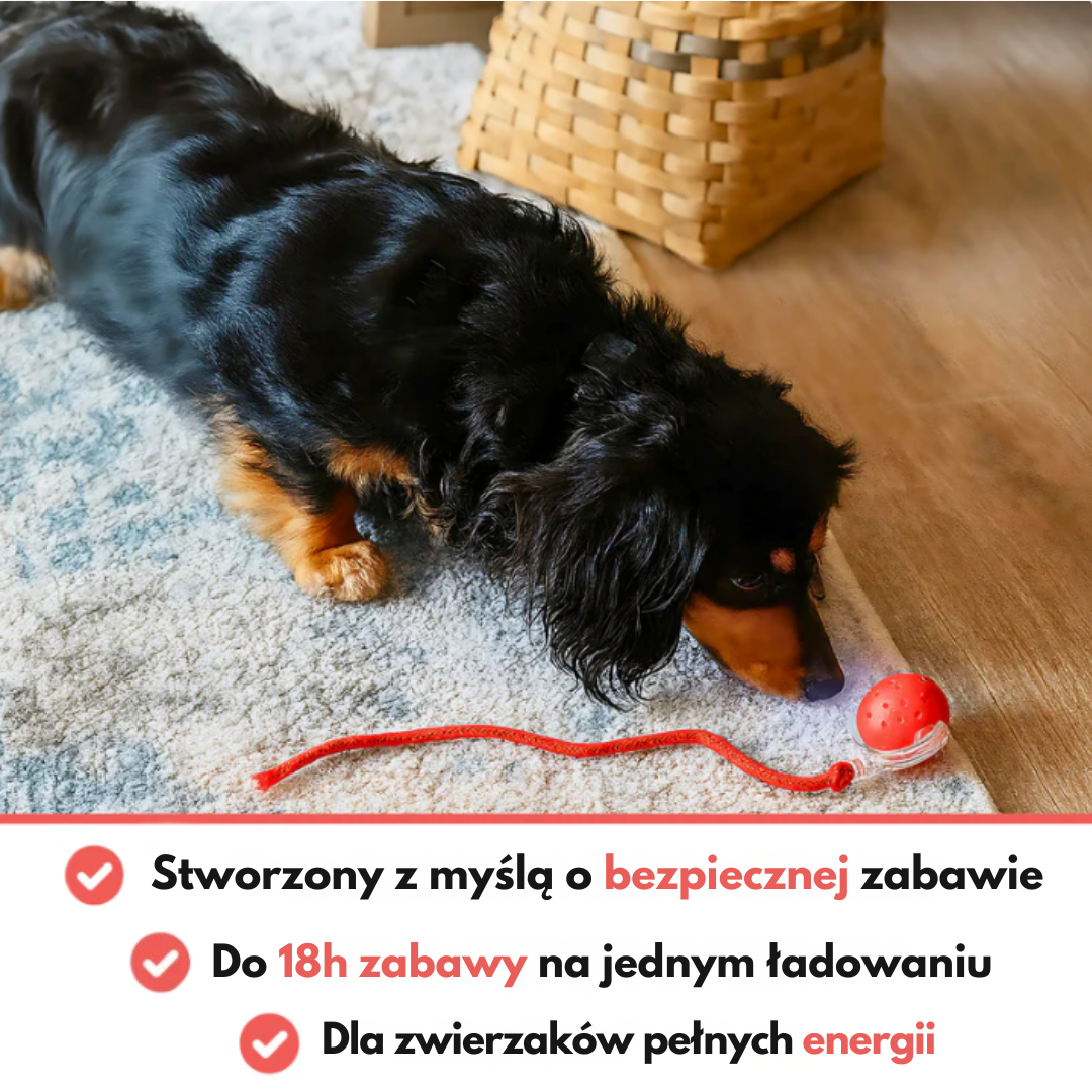 Interaktywna zabawka Woofy dla psów i kotów